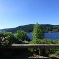 Un petit tour au lac de Gérardmer