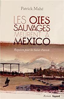 Les oies meurent a Mexico !