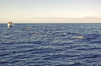 PARTIE DE PECHE - ILE DE LA REUNION