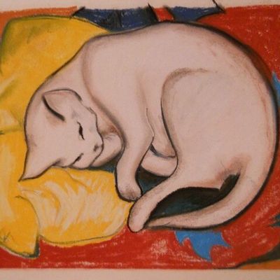 Cours de dessin et couleurs