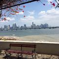 Panama city : Isla Taboga et les derniers jours au Panama . Mort aux oiseaux.