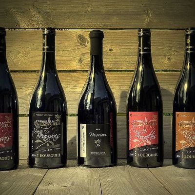 Aux portes de Tours, la Gamme des Bourgueil Boucard !