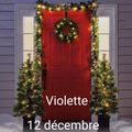Calendrier de l'avent 12 décembre 2022:Violette