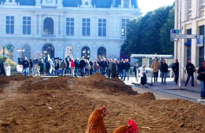 Côt Côt (ou le happening agricole)