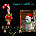 Les gens heureux ont des poils d'animaux sur leurs vêtements... c'est tellement vrai !