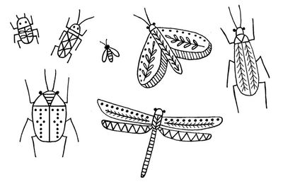 Série "Insectes"