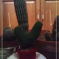 Mini Cactus au crochet
