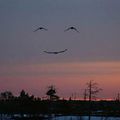 Sourire du ciel ...