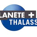 Planete+ Thalassa diffuse ce soir un reportage sur la Nouvelle Calédonie