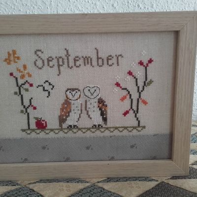 Aventures brodesques ♥