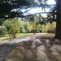 petit tour au parc Labesse, à Saint-Chamond