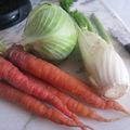 Salade de carotte, fenouil et chou râpés