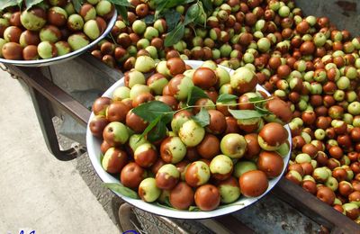 Variations autour de la datte de Pékin ou jujube pour le nouvel an chinois