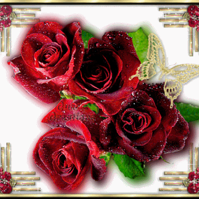 magnifique bouquet de rose