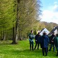 ARBRES FRAGILISÉS : LE LOTISSEMENT DE LA FUTAIE SÉCURISÉ.