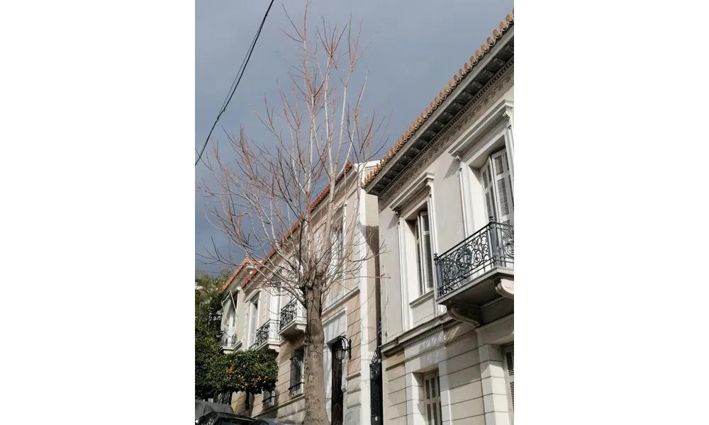 La photo du dimanche # Météo 