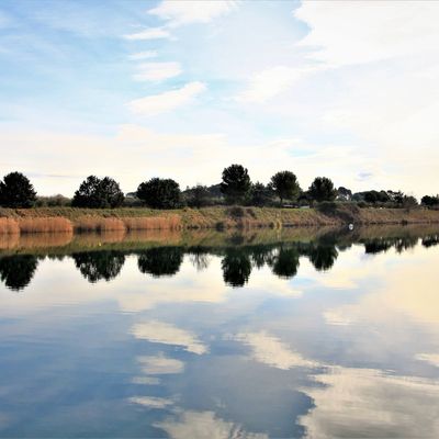 Journée nettoyage des abords du plan d'eau le 8 mai 2023