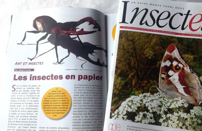 Art Insectes Article dans le magazine de l'OPIE