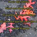 UN FARCEUR A CONTRE-EMPLOI