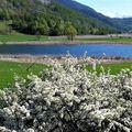 Le printemps du lac de Siguret (Saint-André d'Embrun)