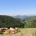 Paysages d'Auvergne