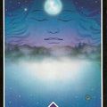 OSHO ZEN TAROT 17 LE SILENCE