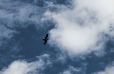 L'amitié, Devient un jour étrangé.