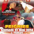 Feignies-France, samedi 31 Mai 2014 L'Ensemble Folklorique Polonais "WISŁA"+communiqué de l'association "ZYWA POLSKA"