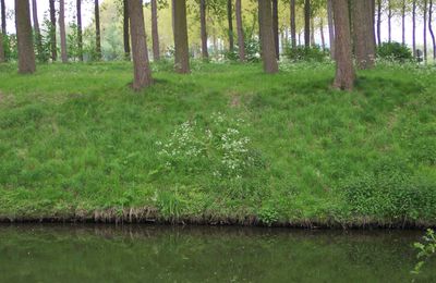 Belgique; Flandres : Canal Léopold et canal de Schipdonk