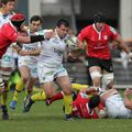 Coupe d'europe de rugby