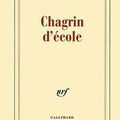 Chagrin d'école - Daniel Pennac