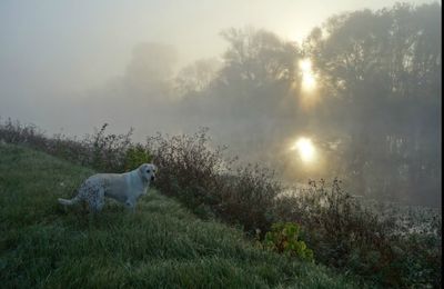 Dans le petit matin frisquet