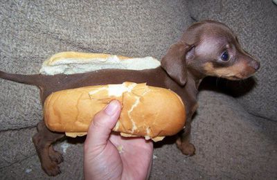 vive les hot dogs 