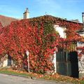 Couleurs et reflets de l automne...