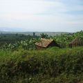 Bukavu la ville et au bureau