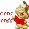 BONNE ANNEE 2012 !!!