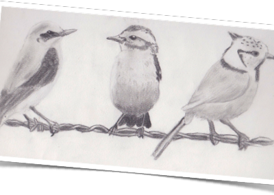 animaux, ani-mation lol