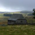 Passage en Aubrac