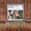 Enchristée, la biodiversité