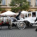 Première vue de Cracovie 