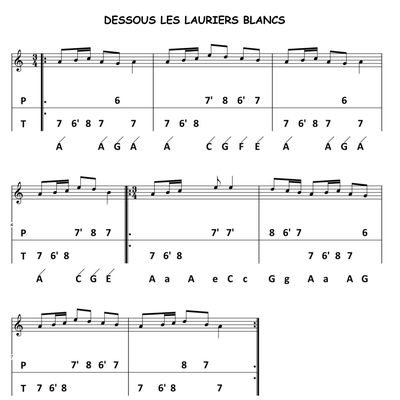 DESSOUS LES LAURIERS BLANCS
