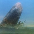 Moby Dick de John Huston - 1956