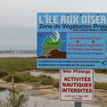 Pollution de l'étang de Thau à Maldormir, à Marseillan : qui est responsable?