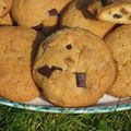 Cookies chocolat/spéculoos