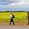 «Compostelle» au Québec, je vous en avais déjà parlé ?