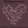 Challenge amoureux - Bilan final