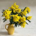 LE BOUQUET DU VENDREDI...