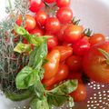 coulis de tomates