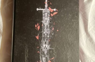 Le dernier voeu, roman d'Andrzej Sapkowski