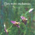 Des Mots Enchantés (Recueil II) de Bernard FRANZON